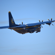 C355982A-9697-4C48-A17B-739750DD5AB7_1_105_c.jpeg