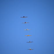 6B8FC94E-D33E-47F9-9F28-4A5A8859C0E0_1_105_c.jpeg