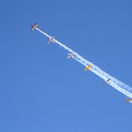 03FCA05F-3F45-4EFA-B561-9B86DDC999E9_1_105_c.jpeg
