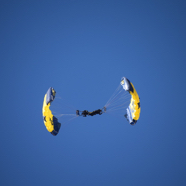CA0B940E-6B40-451A-A424-AE5AF3329DE2_1_105_c.jpeg