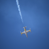 B807931B-D5BD-4828-A26F-8A7AB4DAAA48_1_105_c.jpeg