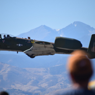 FC918678-07C8-487A-9D9D-B72C647766E1_1_105_c.jpeg