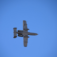 22C7FF32-2B96-49DF-BEAC-1B02E2E94611_1_105_c.jpeg