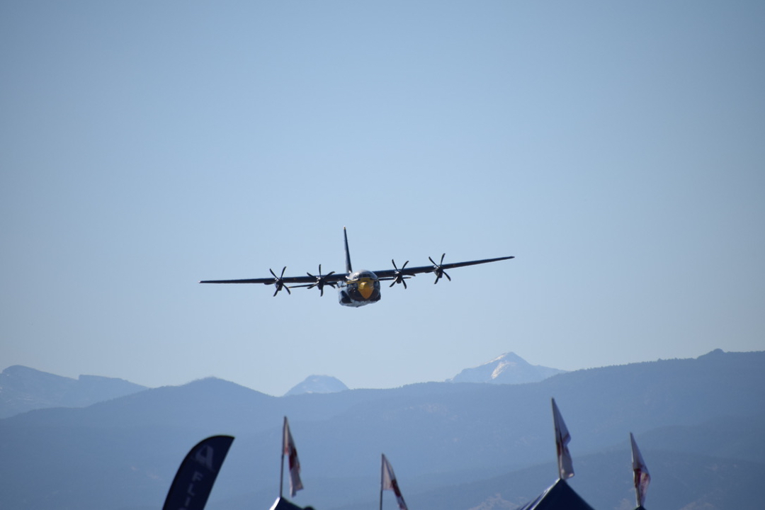 Fat Albert