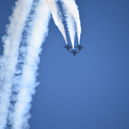 2DF52980-1B7D-4DC4-AF67-48DACC0FC404_1_105_c.jpeg
