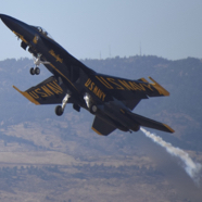 E2D1631B-B9FA-4E35-959D-E9617960D068_1_105_c.jpeg