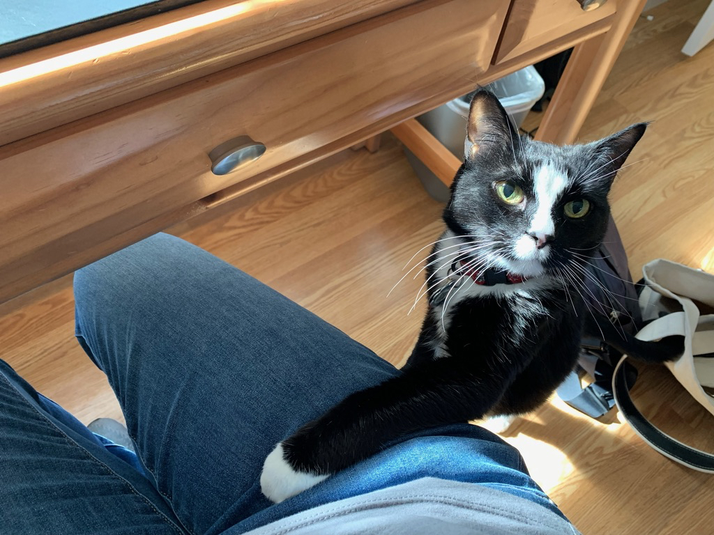 Henry wants a seat