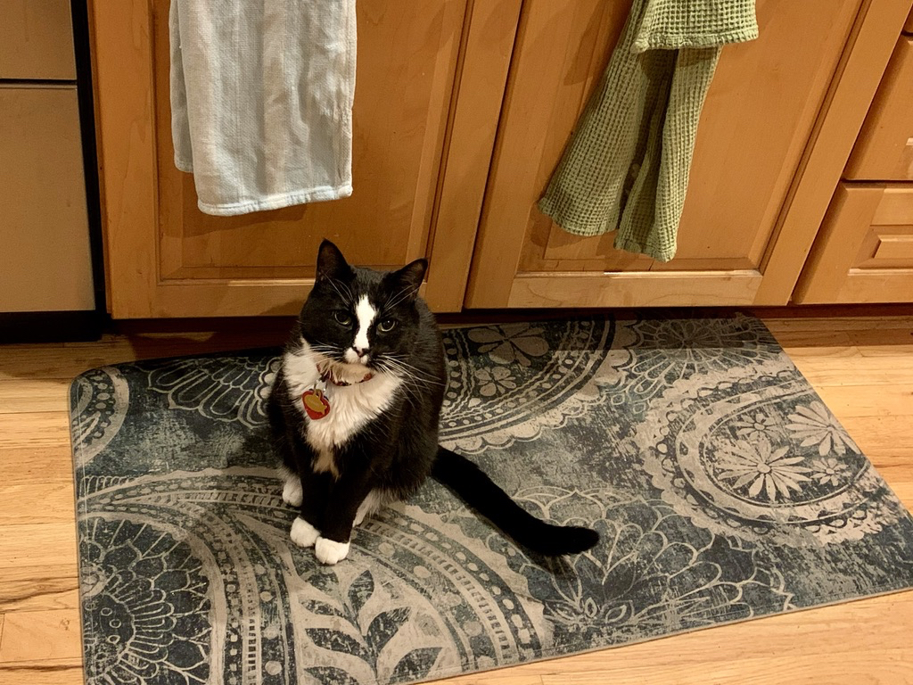 Henry is ready to assist with the dishes