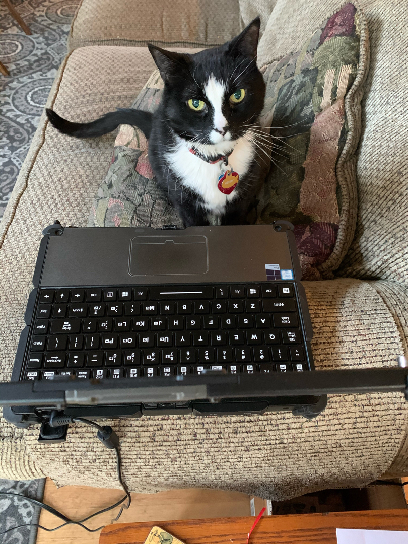 Working from home
