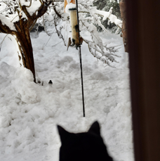 06621257-BB31-4869-A76D-C1521D89251D_1_201_a.jpeg