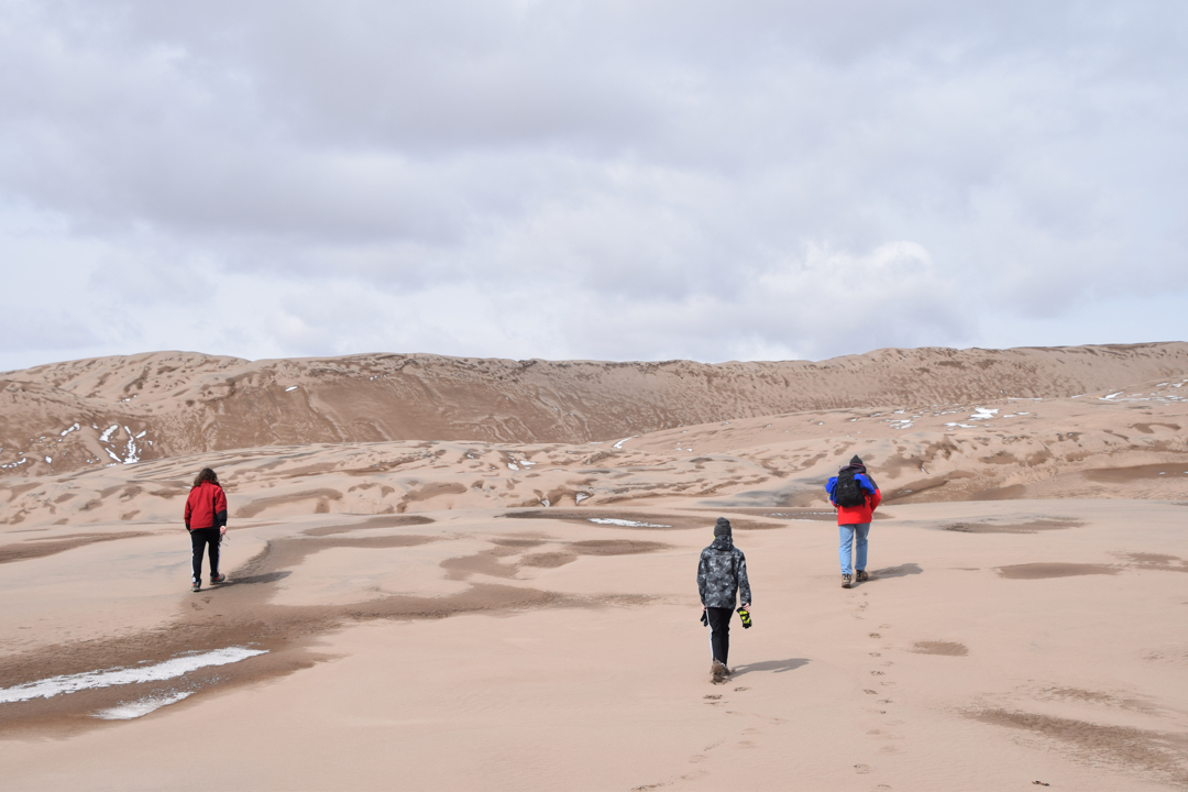 Dunes for miles