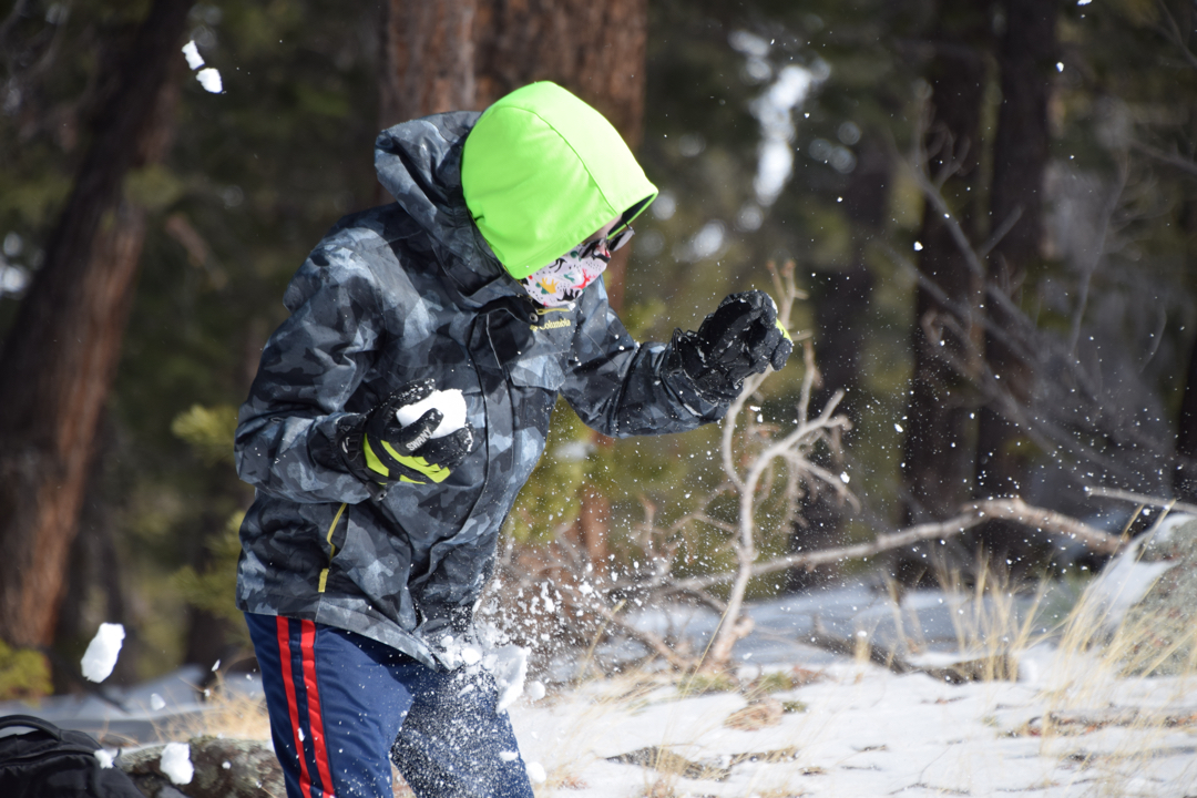 Snowball action during lunch break