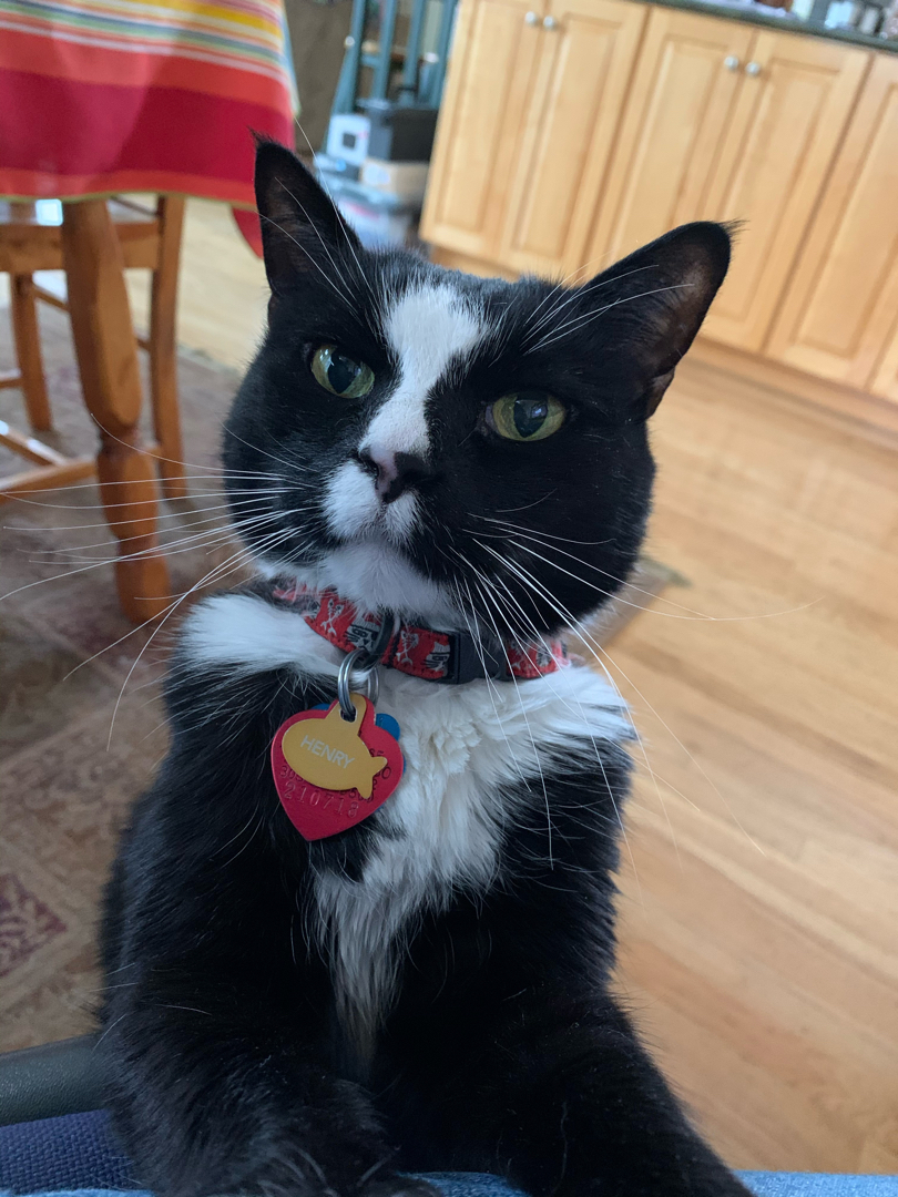 Henry needs attention