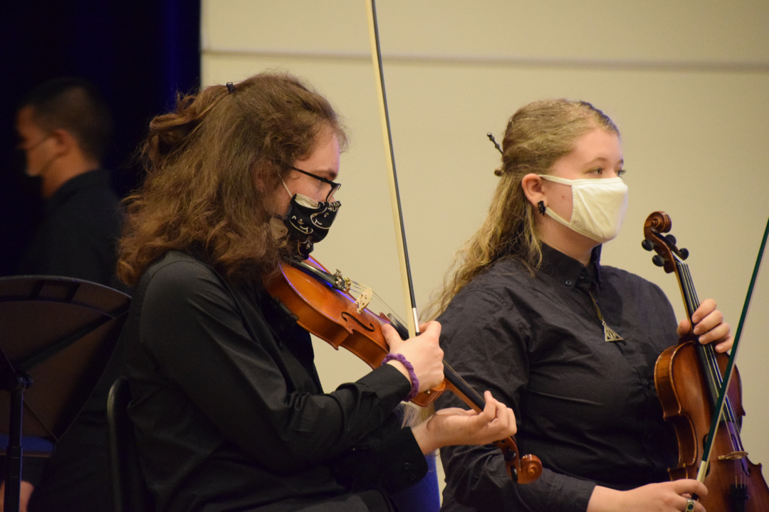 A real life orchestra concert!