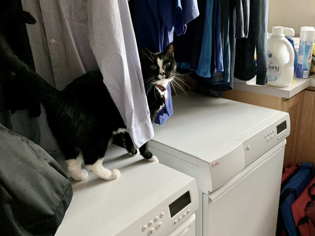 Henry checks his wash