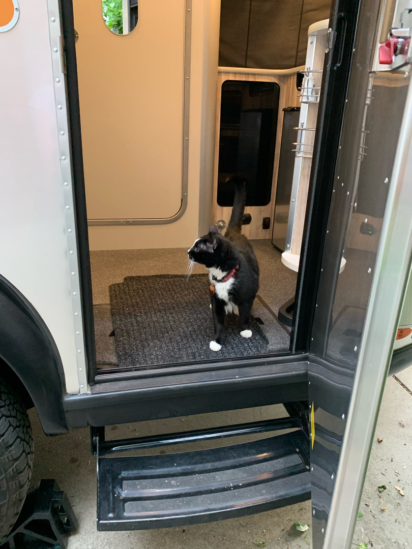 Henry wants to come along