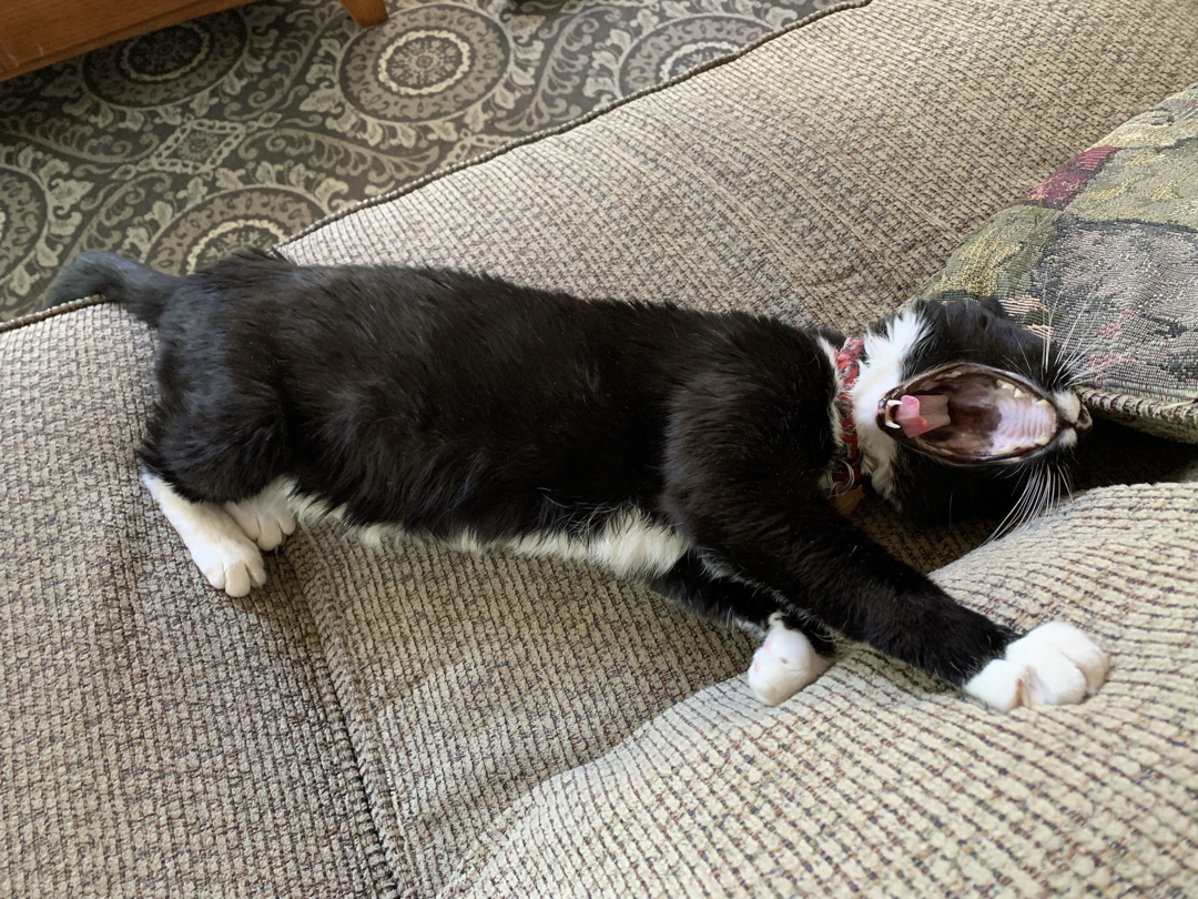 Big yawn