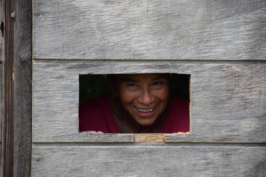 Memere in the bird blind