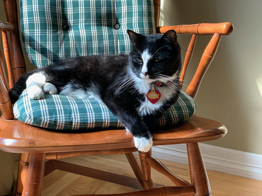 Henry relaxes