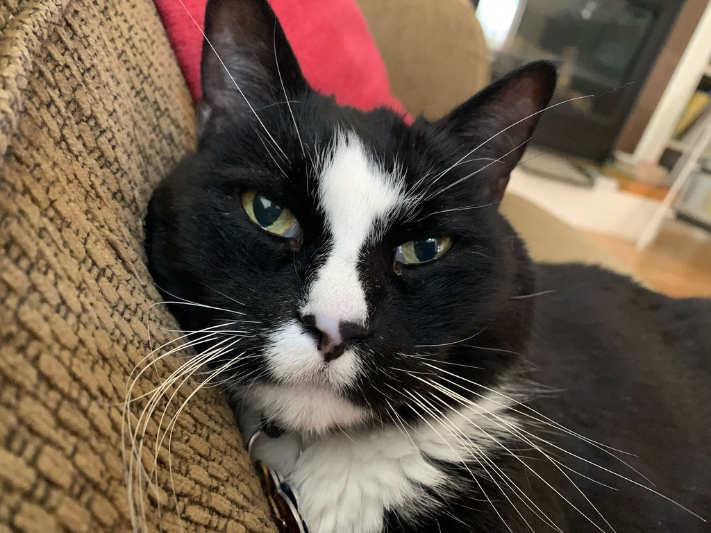 Extreme close-up