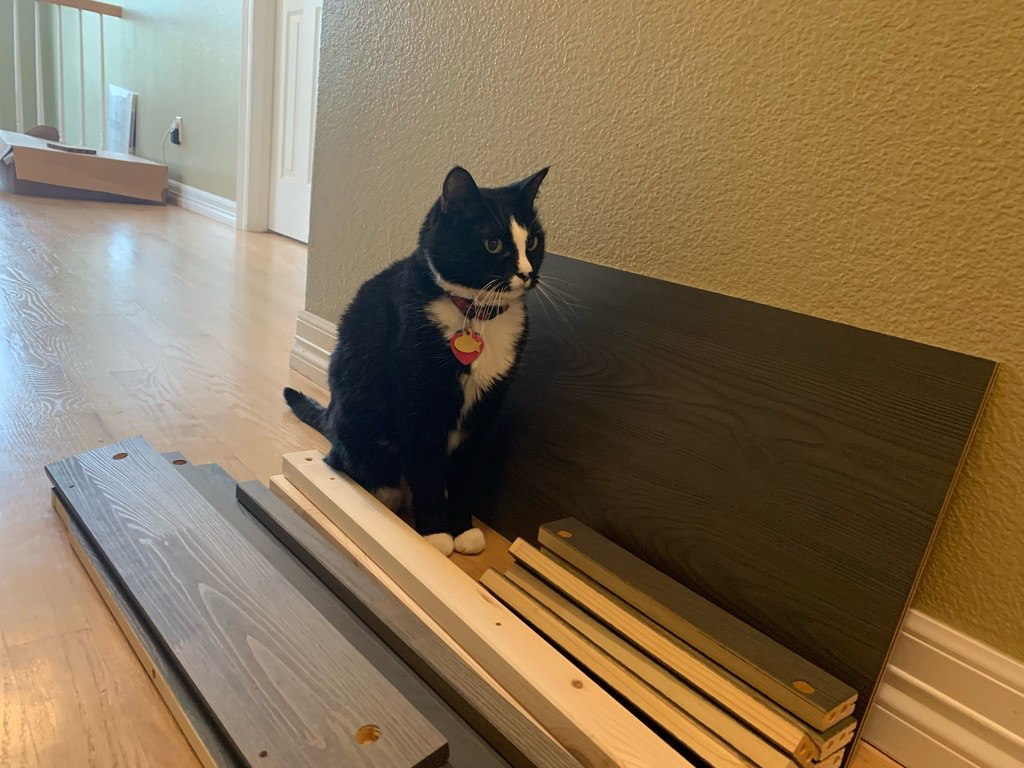 Henry the carpenter reports for duty