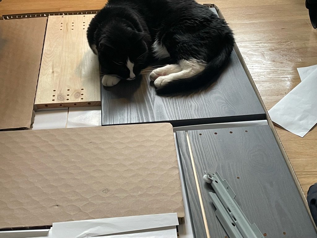 Quick nap