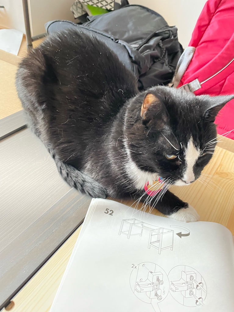 Reading the directions