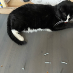 4578C6B1-65E4-4DEC-98CF-CDB0EBD2195D_1_105_c.jpeg