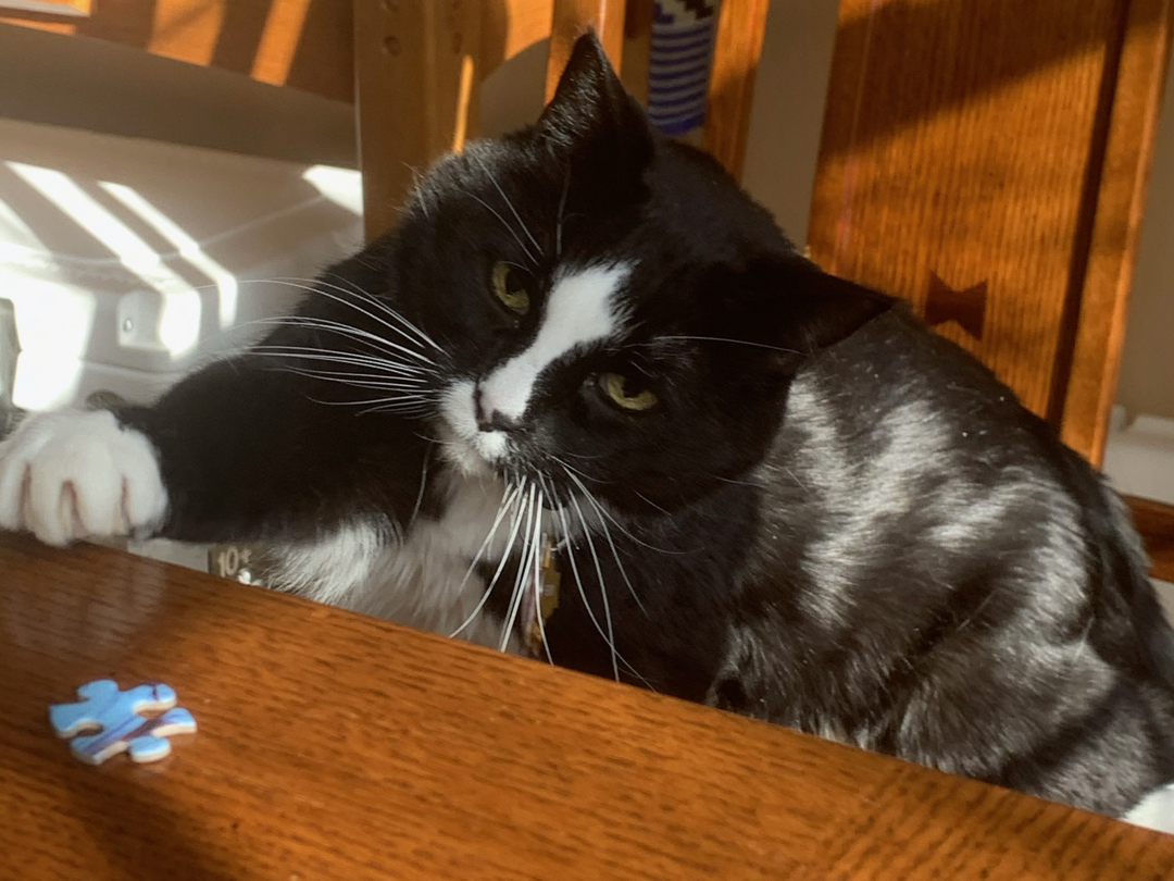 Helping with the puzzle