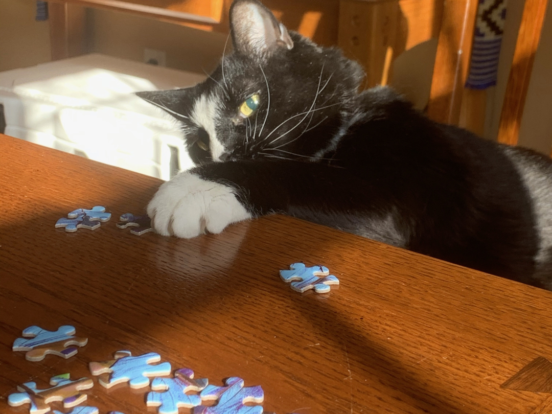 Finding the right piece