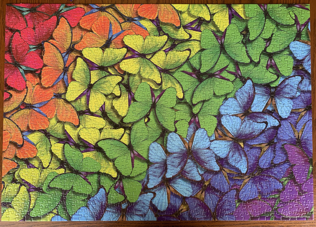 Tough butterfly puzzle. Good thing Henry helped!