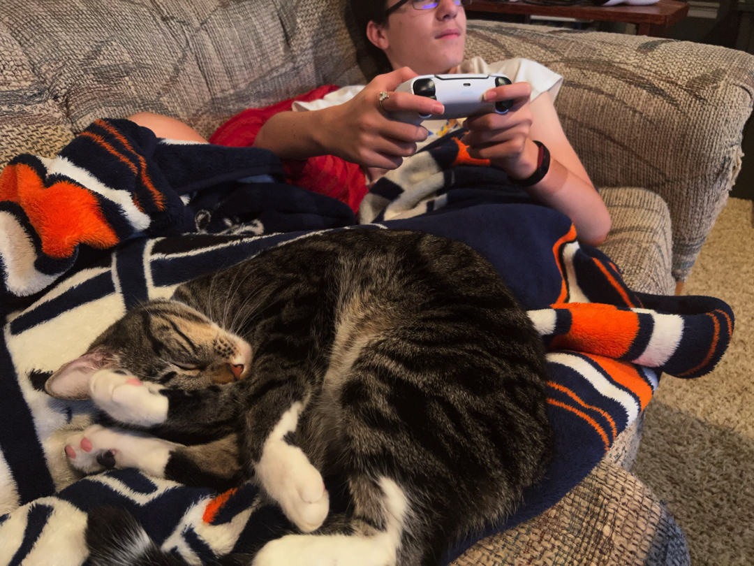 gamecat