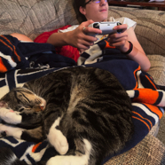 gamecat