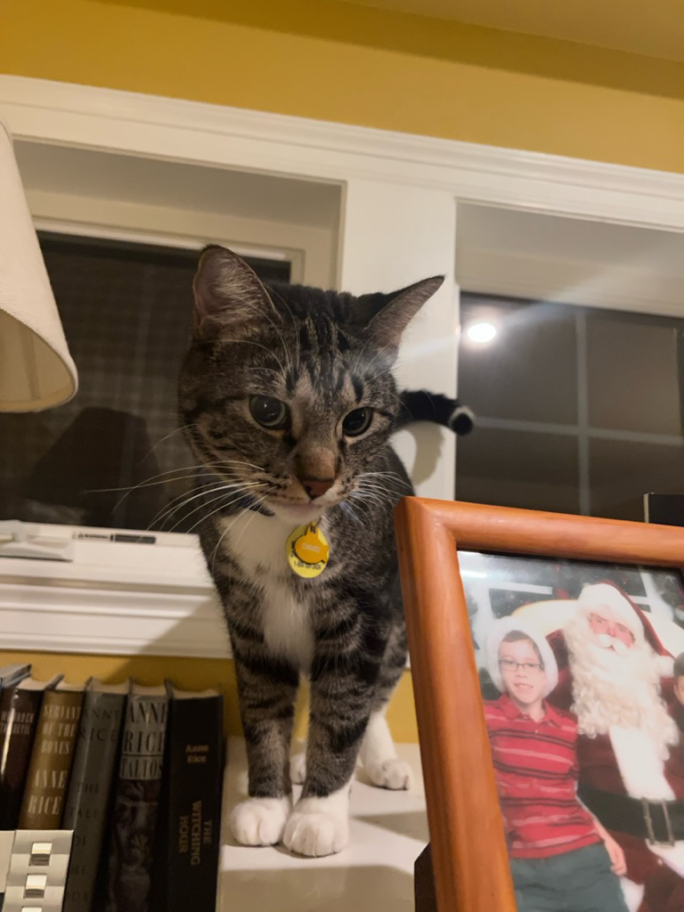 Stuck above the fireplace