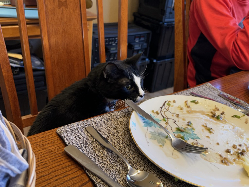 Cleaned his plate