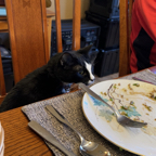 A8FE143D-6583-4DD3-A342-5A232B2311B6_1_105_c.jpeg