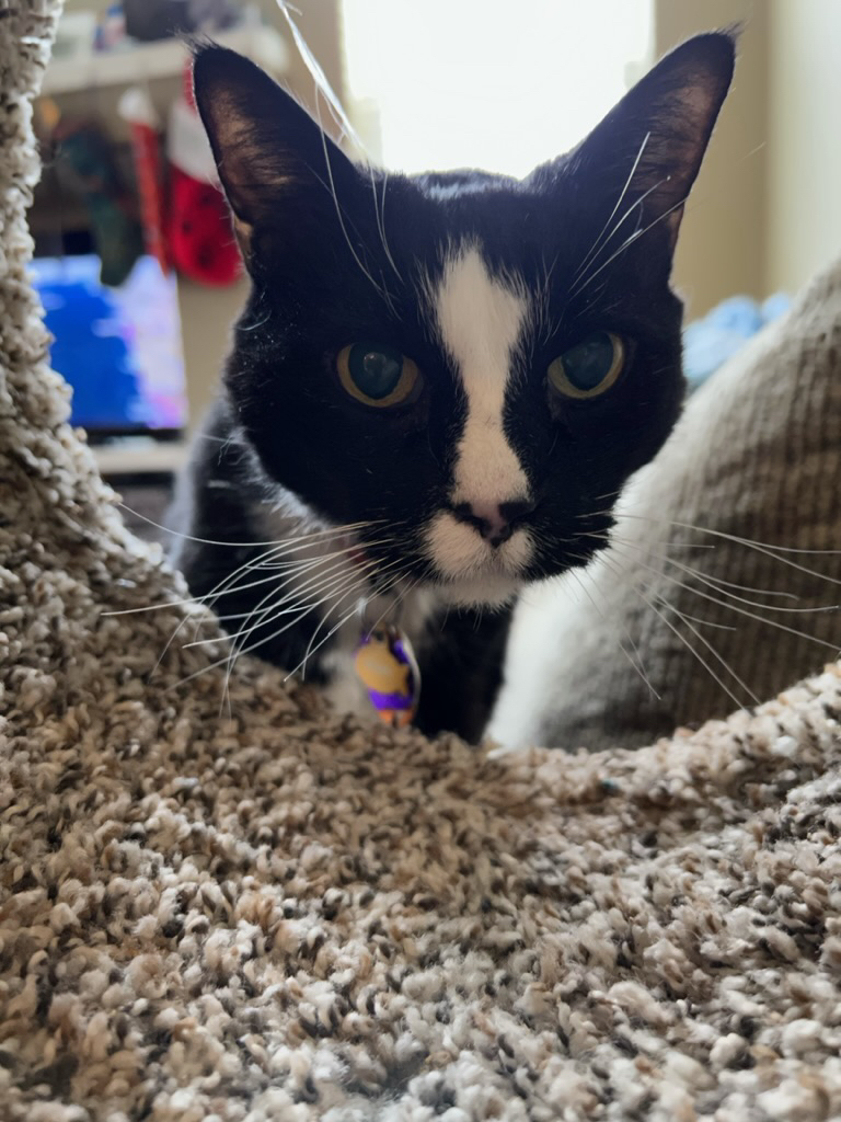 Peeking