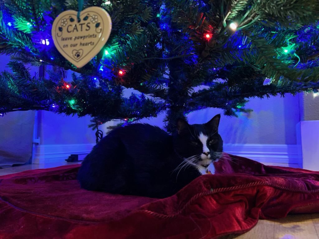 One last present under the tree