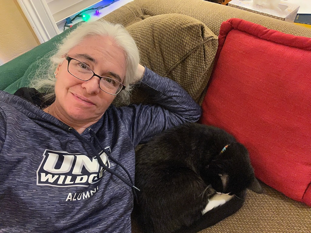 Wildcat and cat