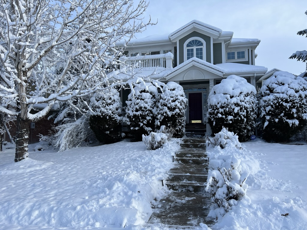 8 inches of snow