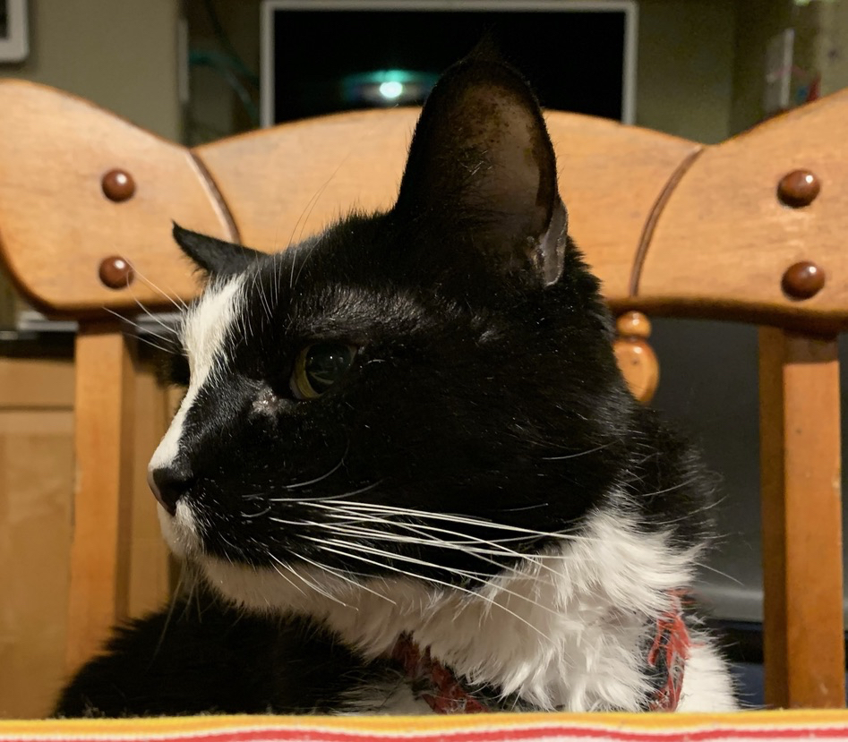 Thinks it's time for dinner