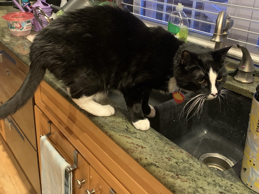 Caught in a compromising position