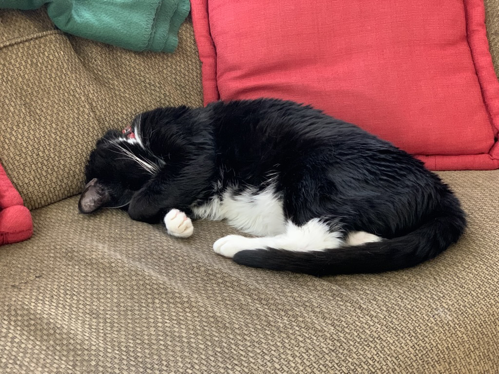 Henry is super excited