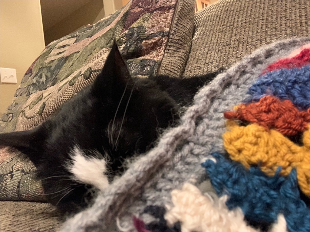Henry snoozle