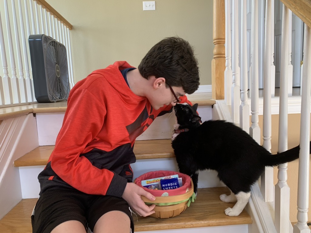 Easter Kitty
