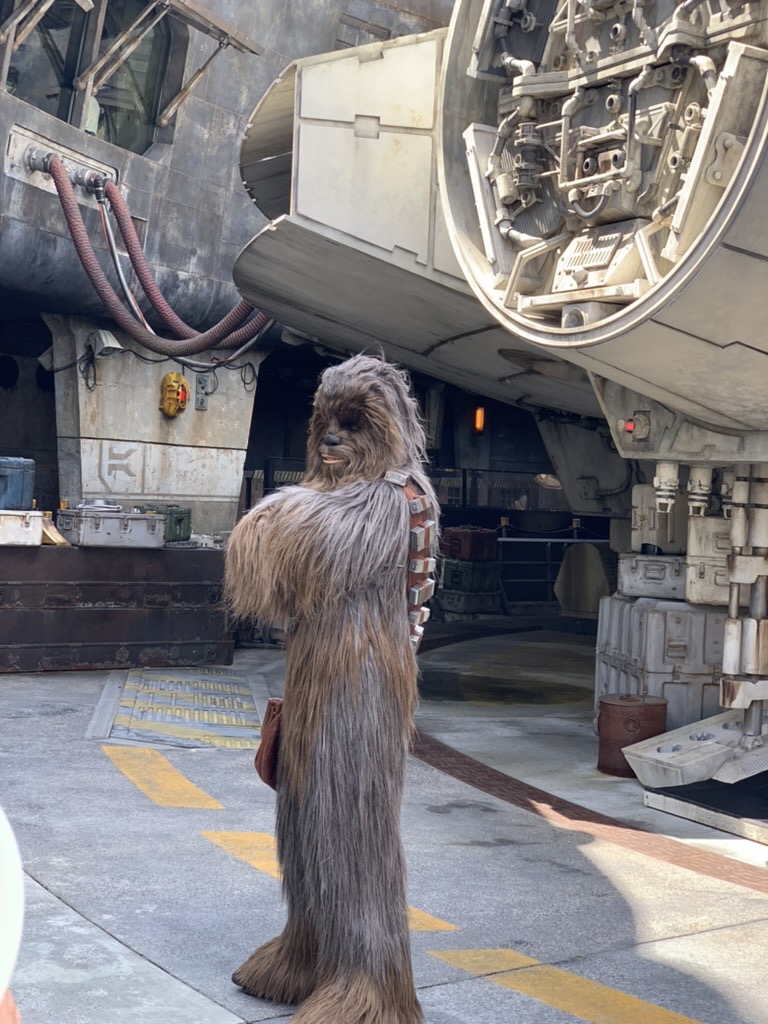 Chewbacca