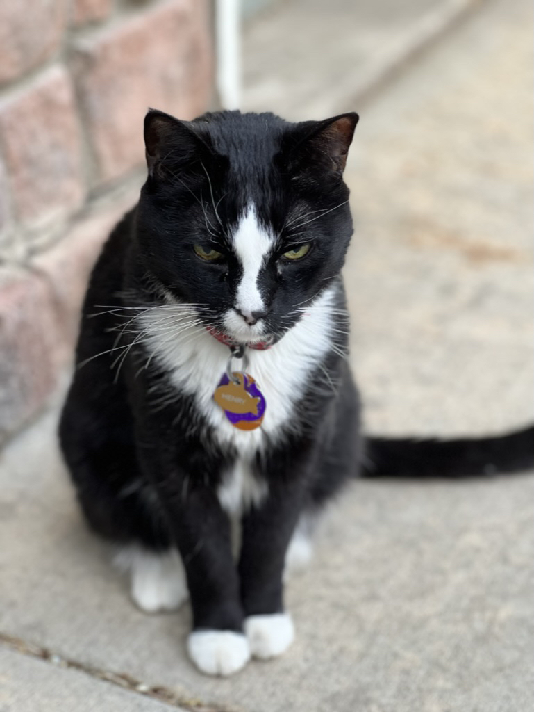 Henry, portrait mode