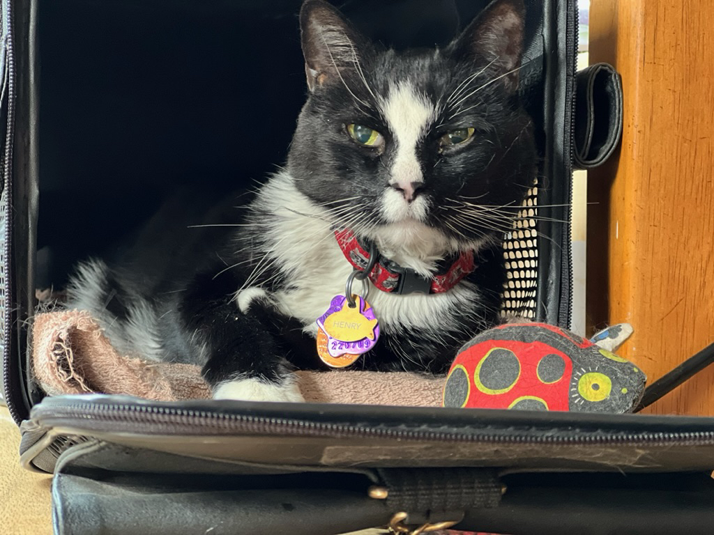 Have bug, will travel