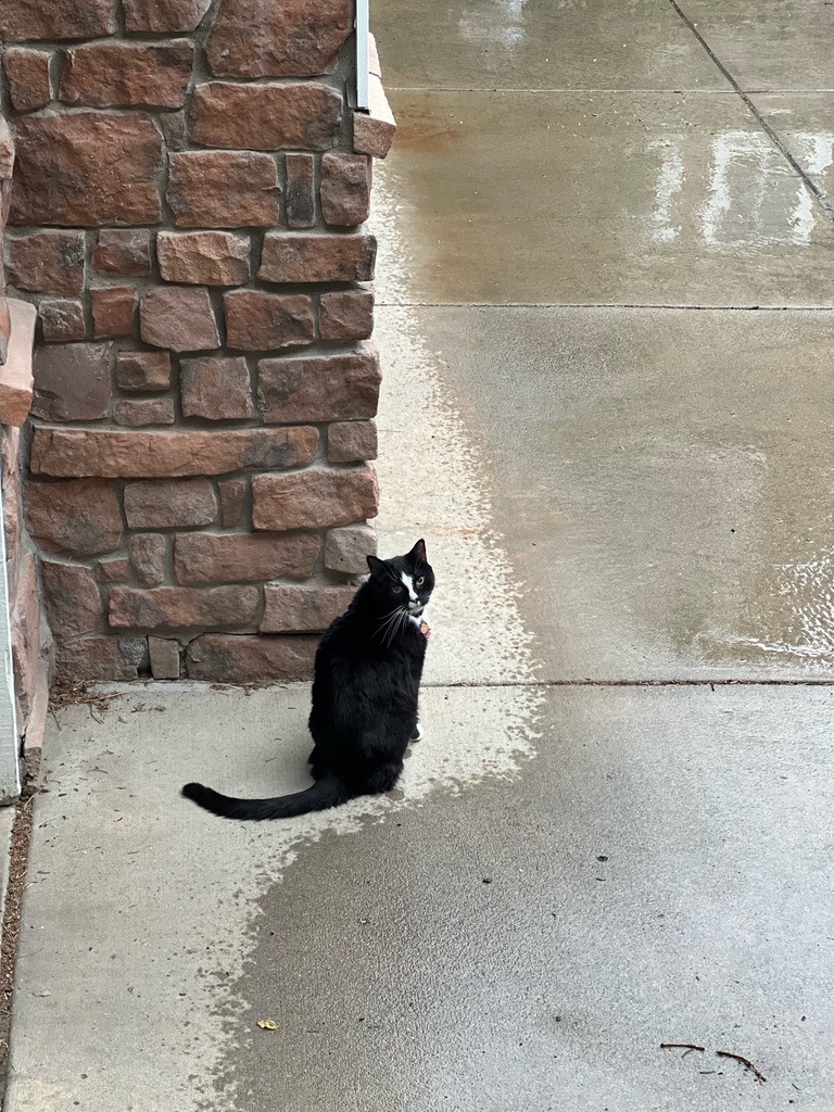 Trapped by rain