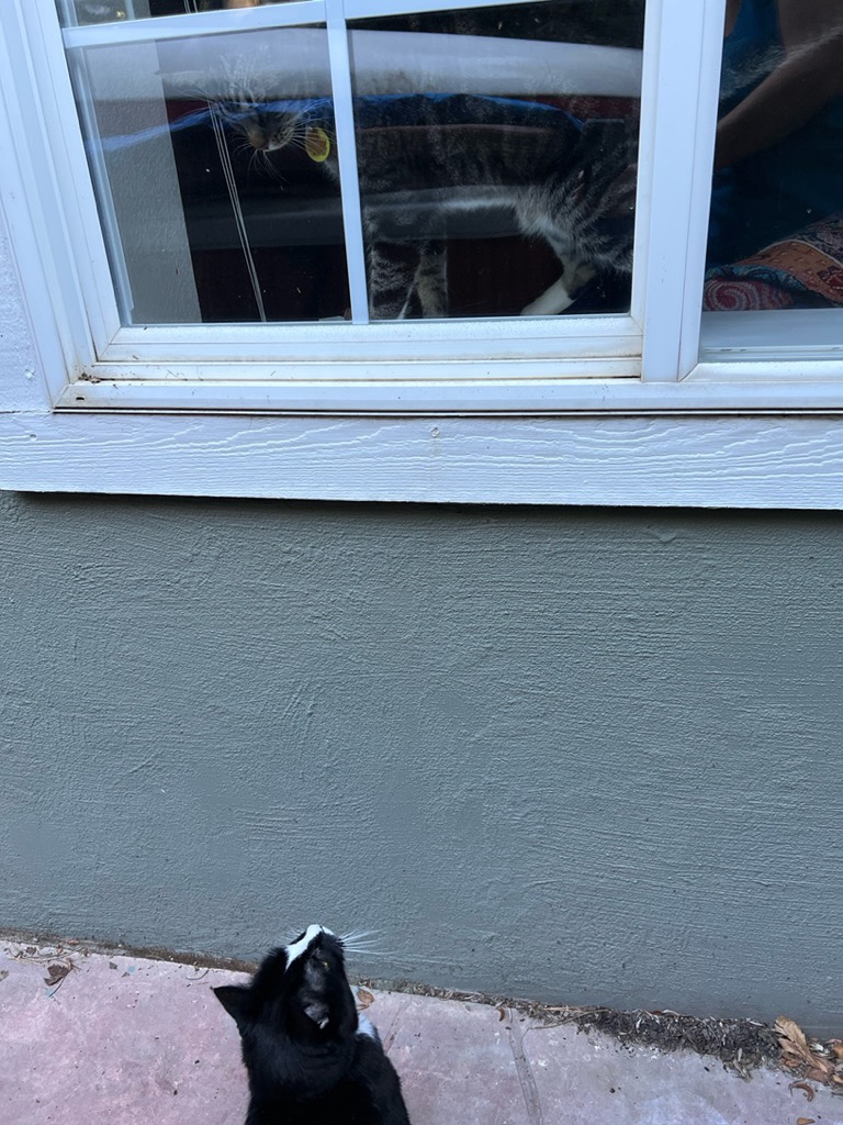 Henry makes a discovery